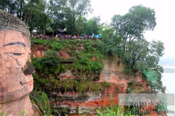 樂山大佛10月開始進(jìn)行加固，預(yù)計(jì)明年2月完工