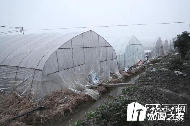 大雪來臨加固大棚 減少農(nóng)業(yè)損失！